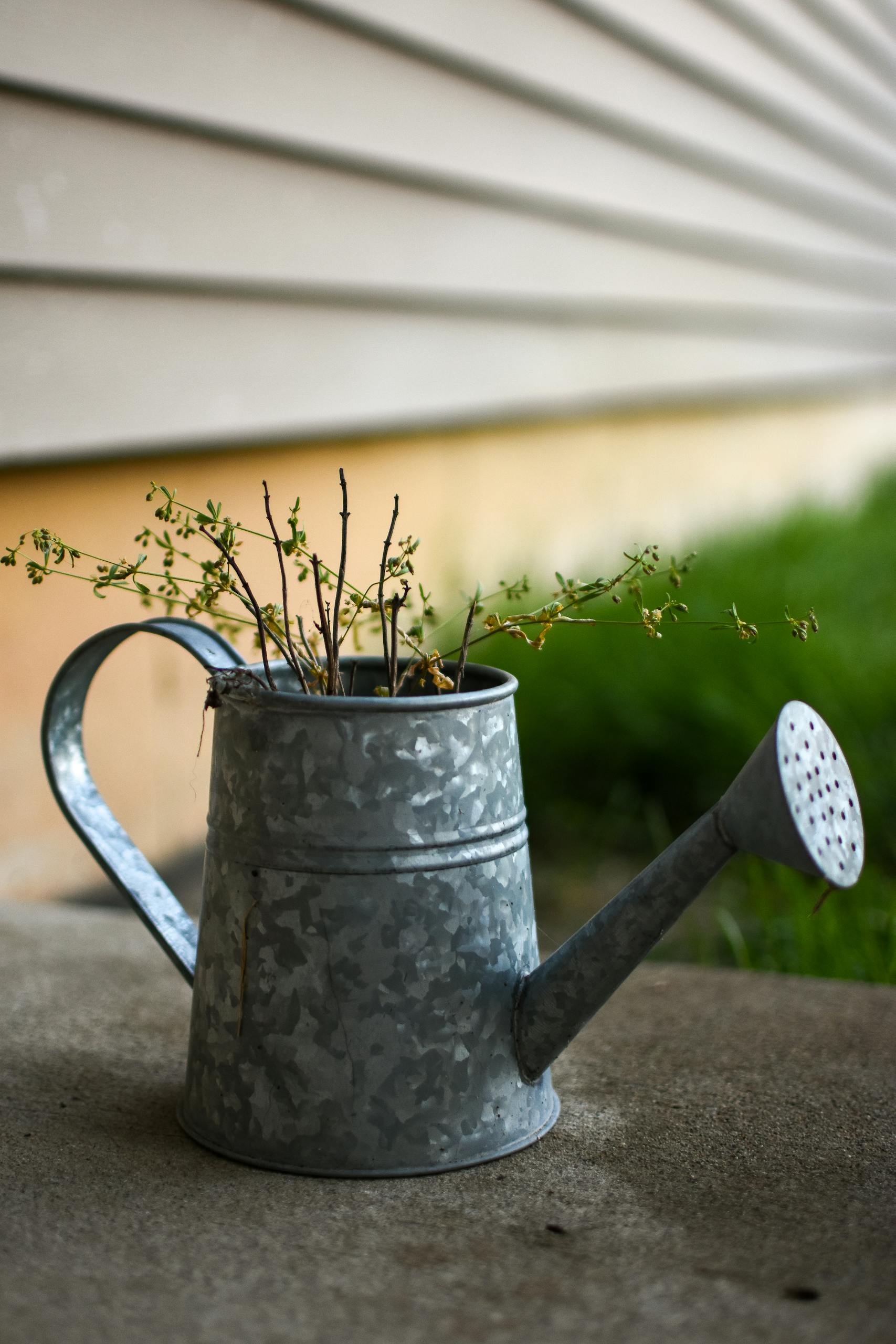 Close-up of a metal watering can with plants against a house exterior, offering rustic charm.
